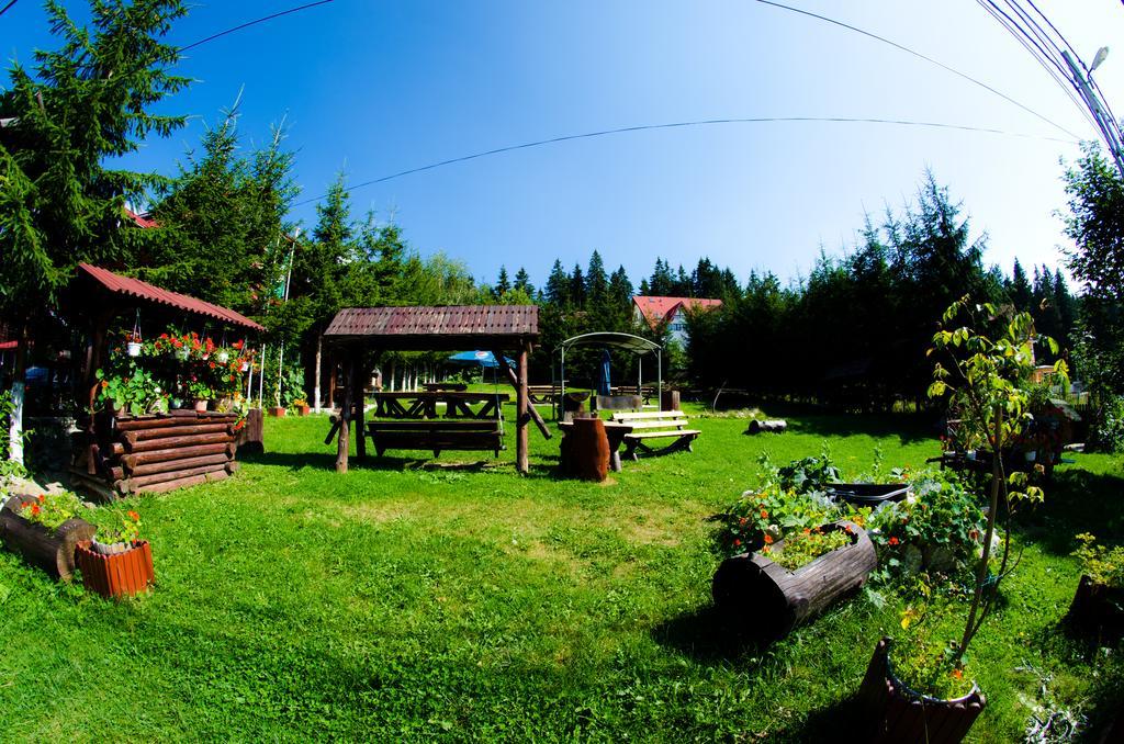 Pension Restaurant Speranta Предял Экстерьер фото