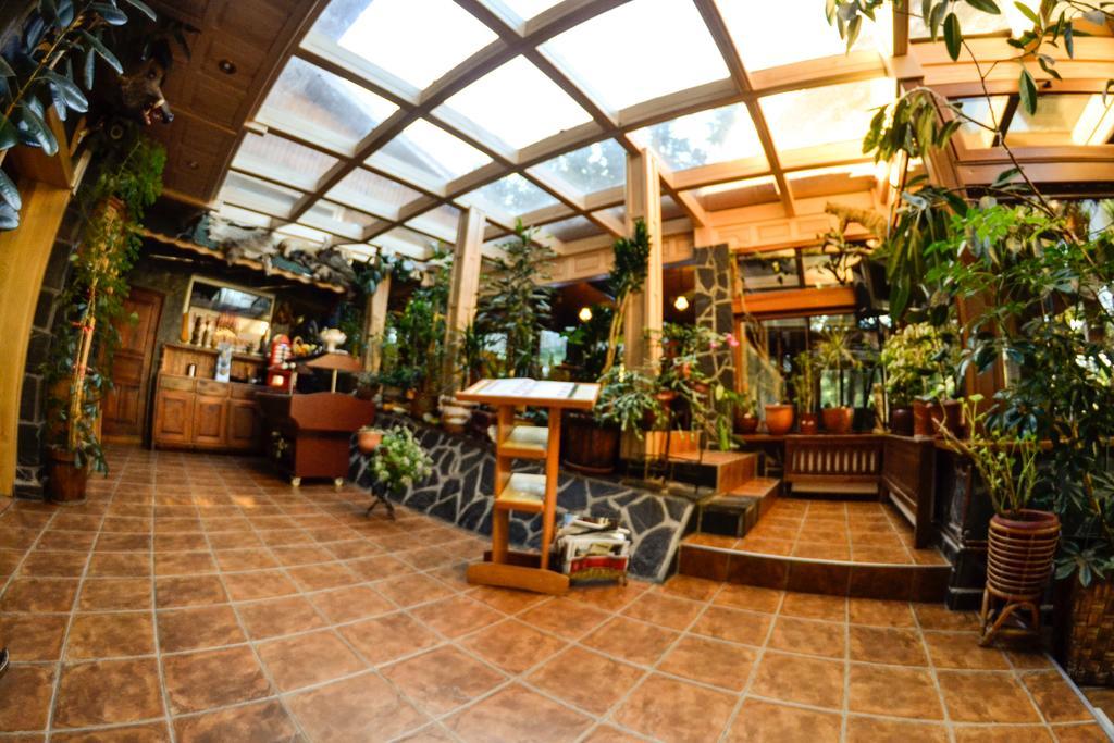 Pension Restaurant Speranta Предял Экстерьер фото